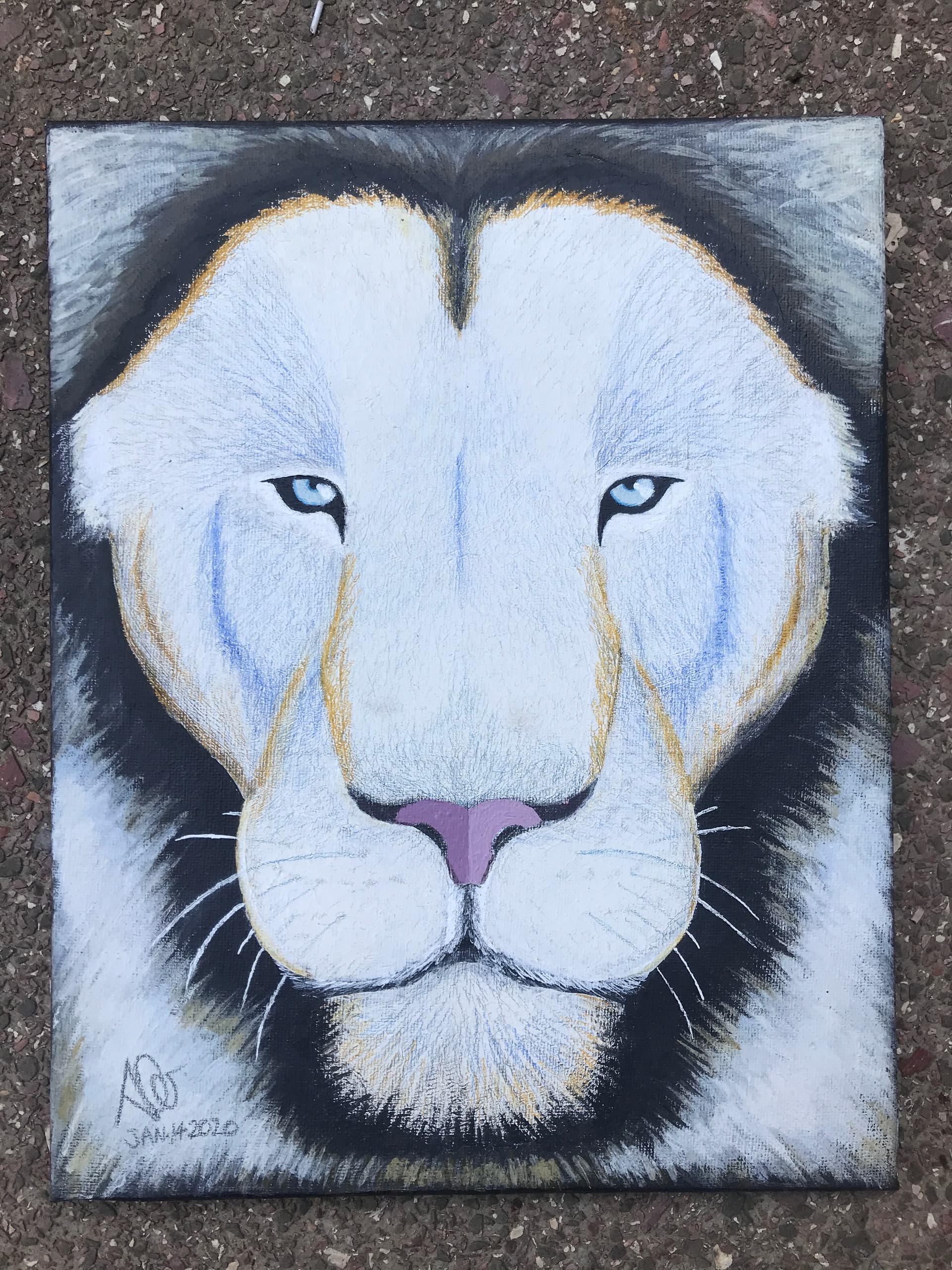 Animal Portrait II