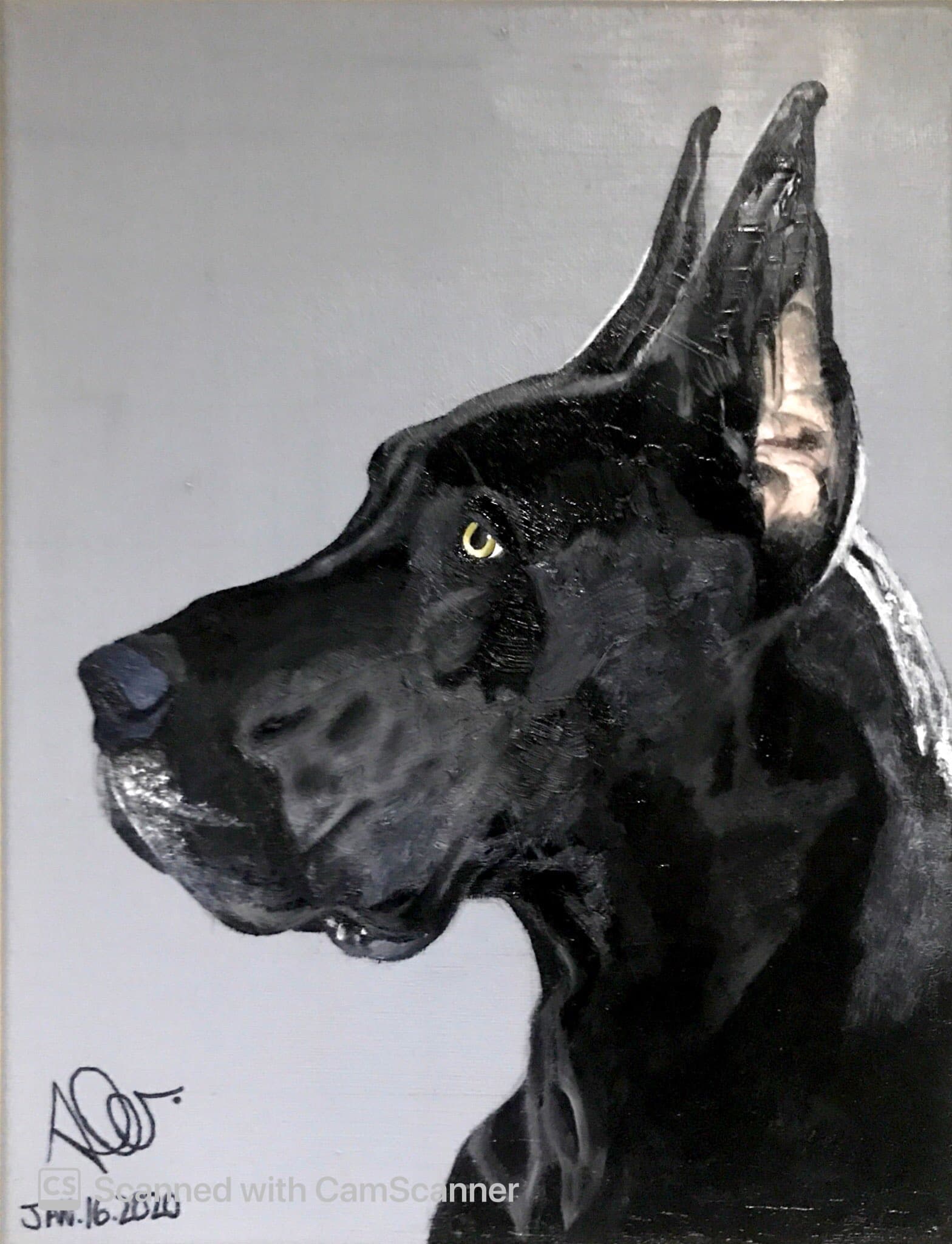 Animal Portrait V